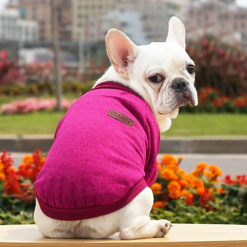 Bulldog Puppy Cat Pet Clothes Two-legged Clothing Knitting Wool Small Dogs Clothes